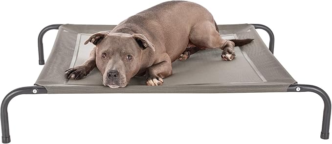 FurHaven Elevated Pet Cots by FurHaven