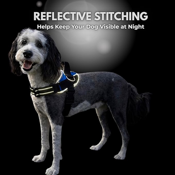 ShawnCo Essential Dog Harness, No-Pull Pet Vest - Image 8