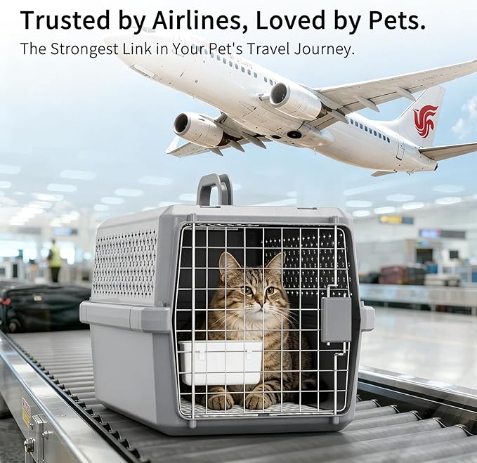 RIZZARI Pets Spree Hard-Sided Pet Travel Carrier, Portable Crate - Image 4