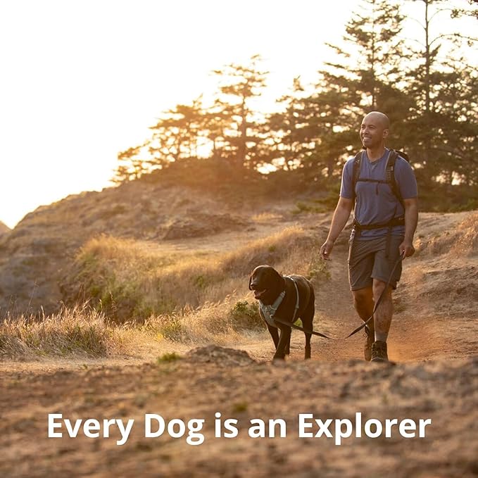 Ruffwear, Front Range Dog Harness, Reflective Soft Padded Everyday Harness - Image 9