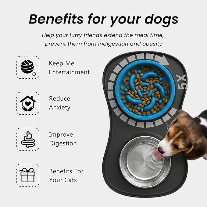 YINEYA 3 in 1 Slow Feeder Dog Bowls & Stainless Steel Food and Water Bowl - Image 3