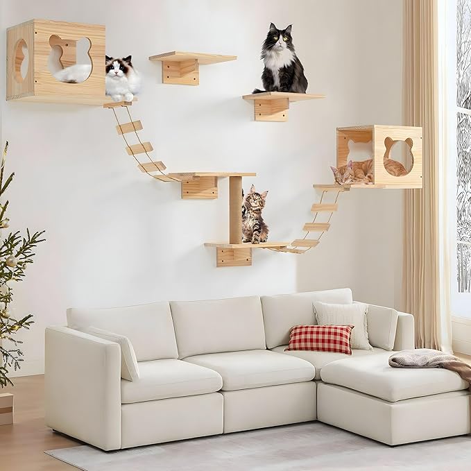 PETKABOO Cat Wall Shelves and Perches, Pine Wooden Cat Wall Furniture Climbing by PETKABOO