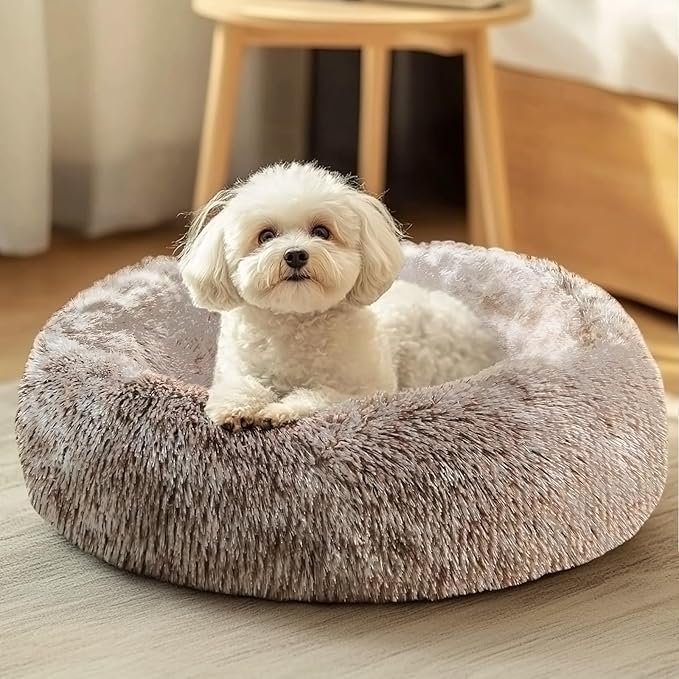 JOLLYVOGUE Dog & Cat Bed, Calming Anti-Anxiety Pet Bed by JOLLYVOGUE