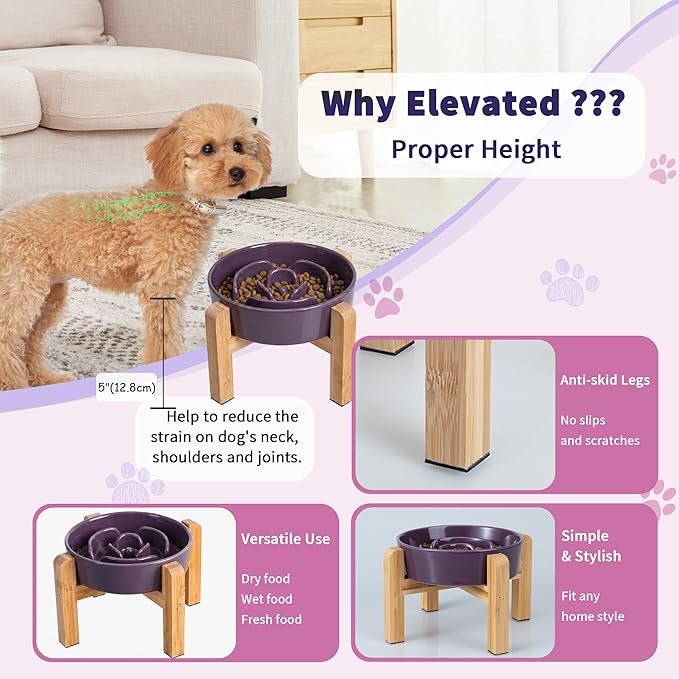 Elevated Slow Feeder Dog Bowl - Image 4