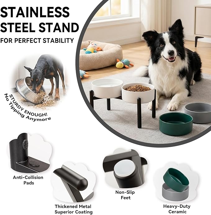 Dog Bowls Elevated - Image 3