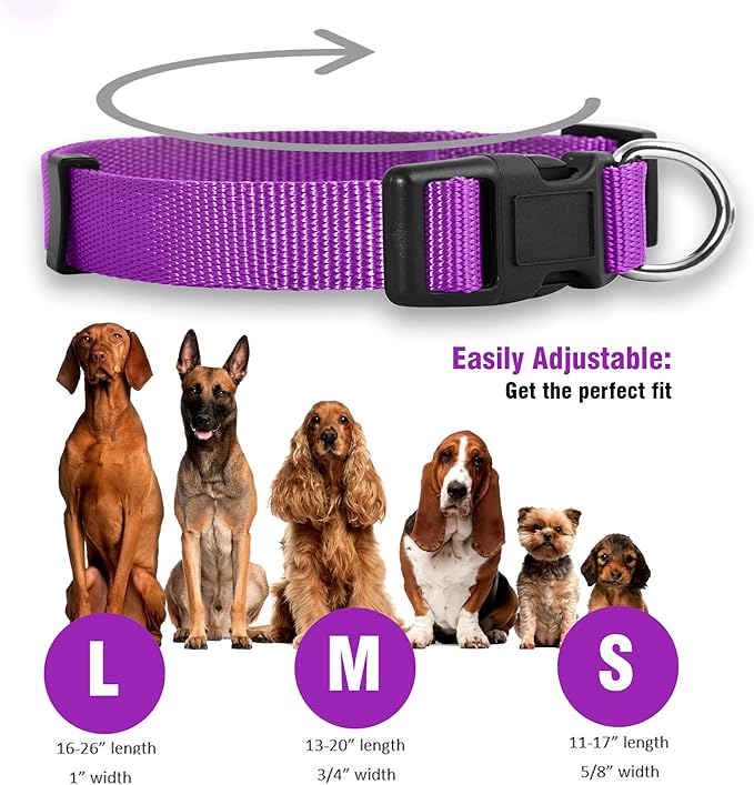 Native Pup Basic Nylon Dog Collar, Adjustable - Image 3