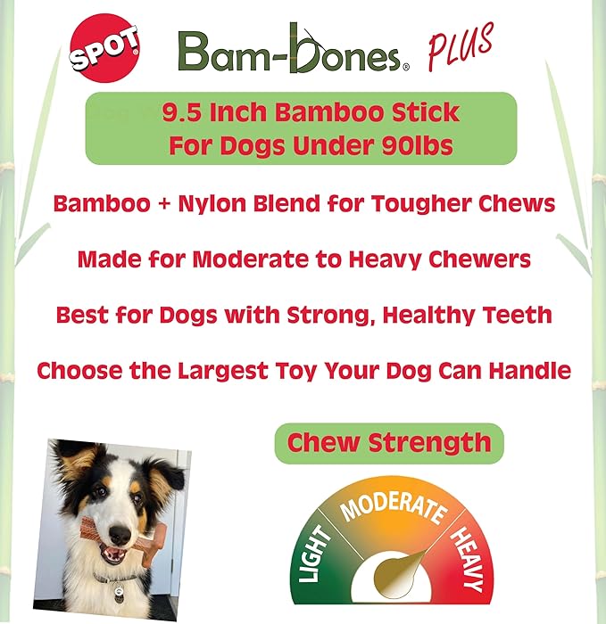 SPOT Bam-Bones Plus Bamboo Stick - Image 2