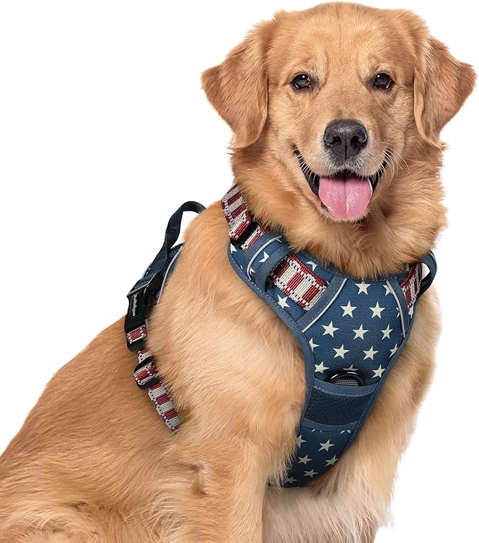 rabbitgoo Dog Harness No Pull by rabbitgoo