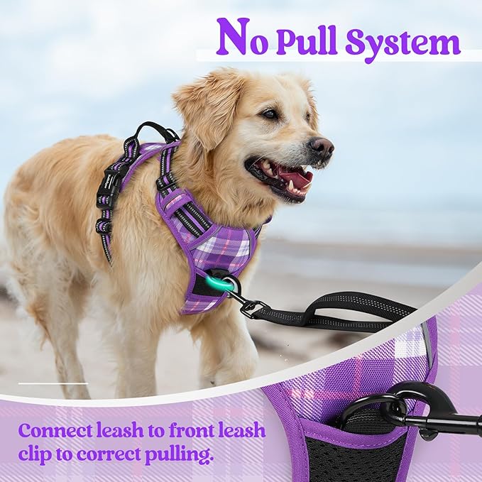 rabbitgoo Dog Harness No Pull - Image 5