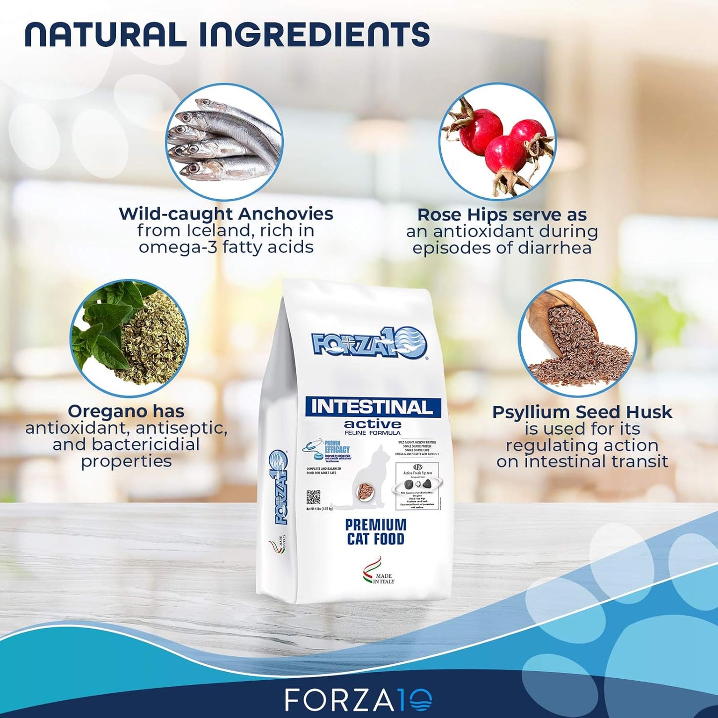 Forza10 Active Intestinal Support Diet Dry Cat Food for Adult Cats, Cat Food Dry for Upset Stomach, Diarrhea and Intestinal Disorders, Wild Caught Anchovy Flavor, 4 Pound Bag