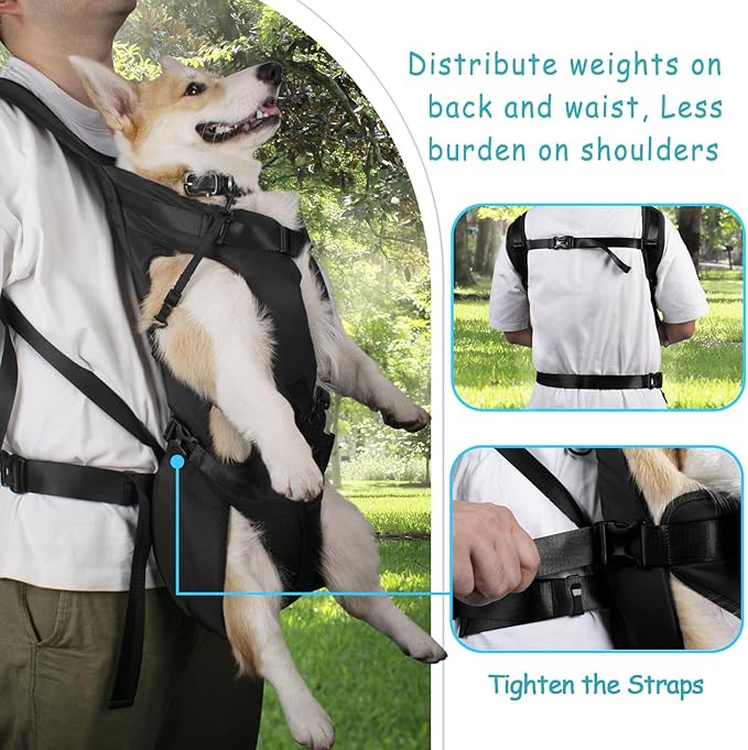 PetBonus Pet Front Dog Carrier Backpacks, Adjustable Pet Backpack, Legs Out - Image 3