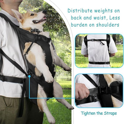 PetBonus Pet Front Dog Carrier Backpacks, Adjustable Pet Backpack, Legs Out - Image 3