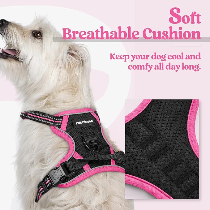 rabbitgoo Dog Harness No Pull - Image 2