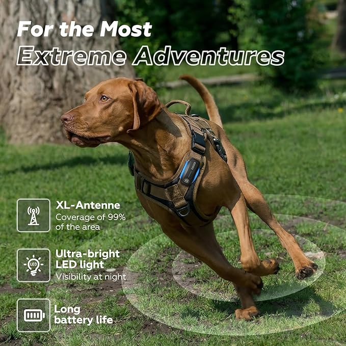 DBDD AI GPS Tracker for Dogs - Image 2