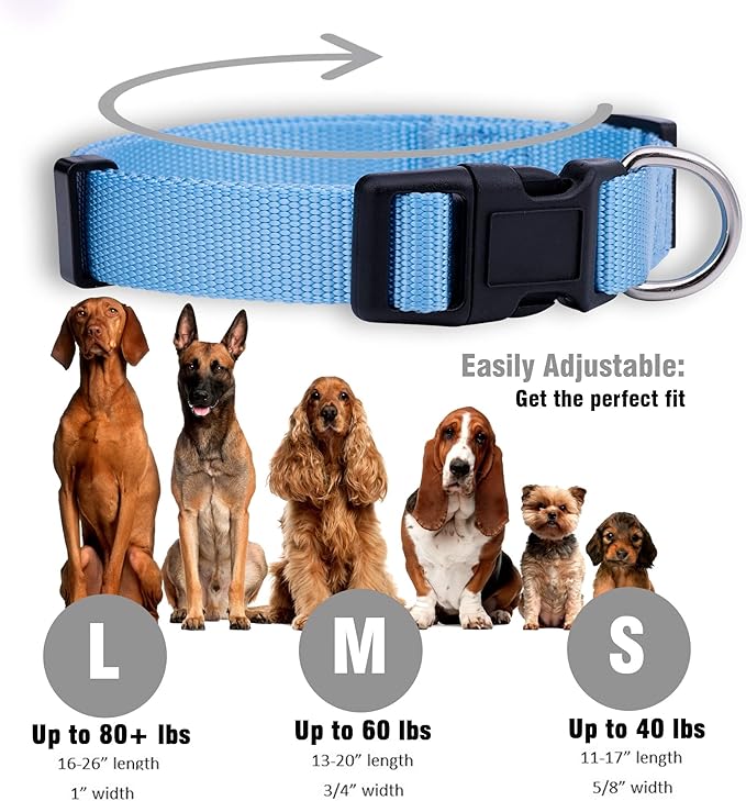 Native Pup Basic Nylon Dog Collar, Adjustable - Image 3