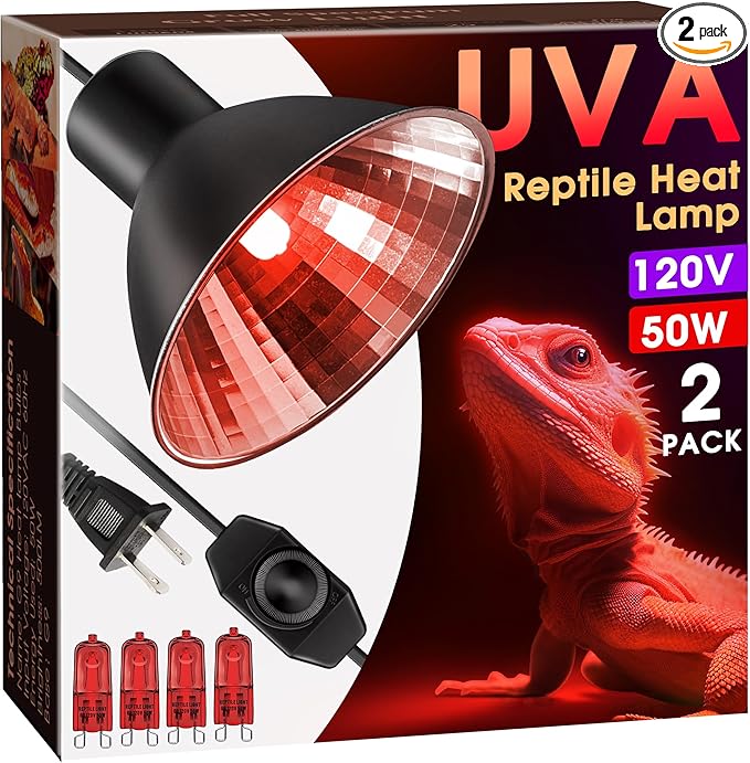 Briignite Reptile Heat Lamp Red, 50W G9 Heat Bulb & Dome Reptile Light Fixture by WelcometoBriigniteenjoyyourtimehere