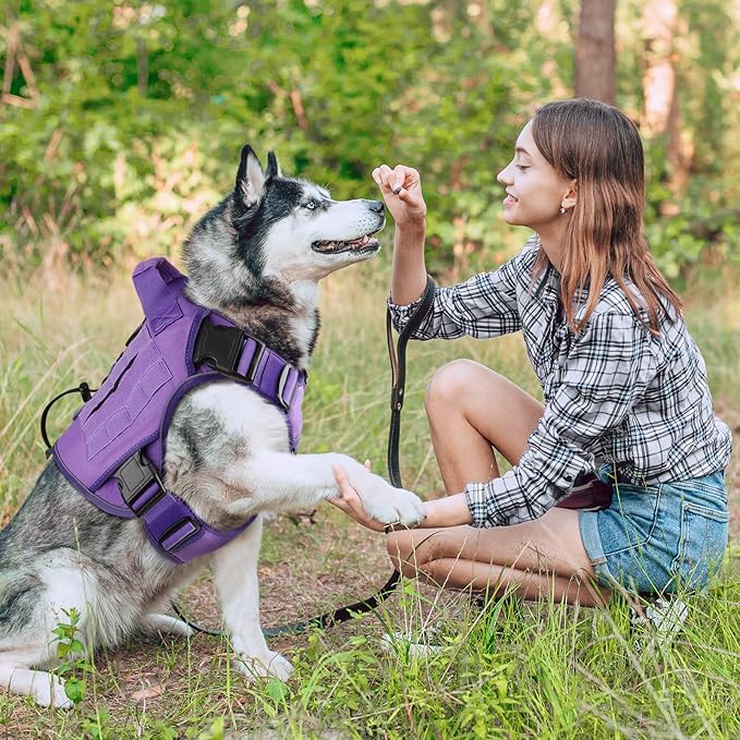 WINGOIN Purple Tactical Dog Harness - Image 6