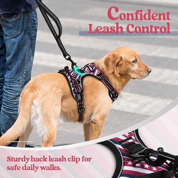 rabbitgoo Dog Harness No Pull - Image 6