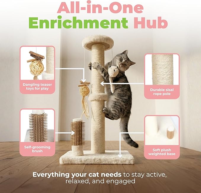 Best Pet Supplies Catify Cat Scratcher, Fun Interactive Scratchers, Claw Safe - Image 3