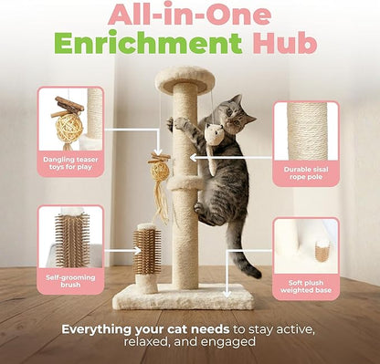 Best Pet Supplies Catify Cat Scratcher, Fun Interactive Scratchers, Claw Safe - Image 3