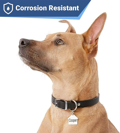 GoTags Stainless Steel Pet ID Tags, Personalized Dog Tags and Cat Tags - Image 4