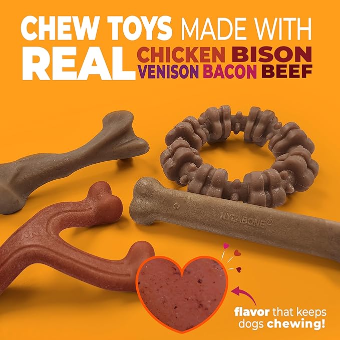 Nylabone Strong Chew Dog Toy 4-Pack Made - Image 2