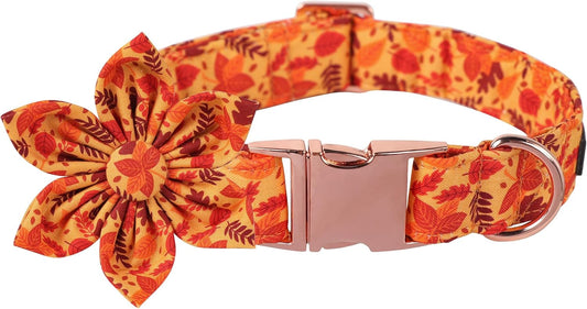 Lionet Paws Dog Collar with Flower - Cute Cotton Adjustable Flower Dog Collar with Metal Buckle for Small Dog Girl Gift, S, Neck 10-16in