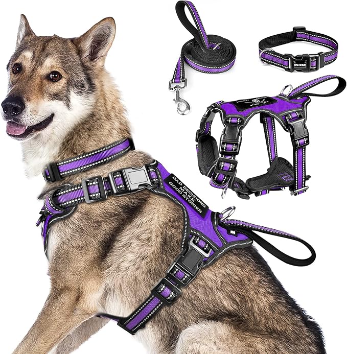 WINSEE Pet Harness Collar and Leash Set, All-in-one Reflective Dog Harness No by WINSEE
