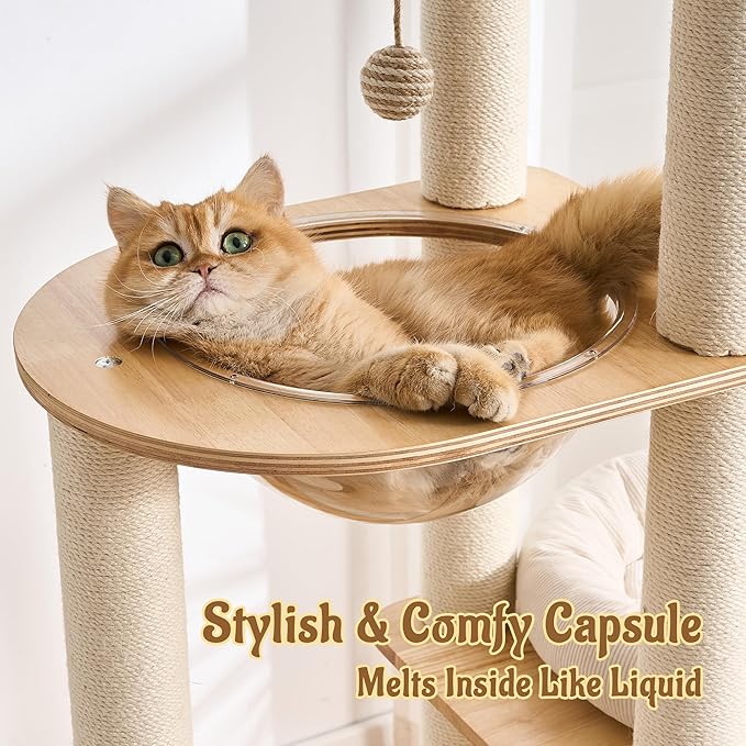 Modern Solid Wood Cat Tree for Indoor Cats Up to 15lbs, Scratcher & - Image 4
