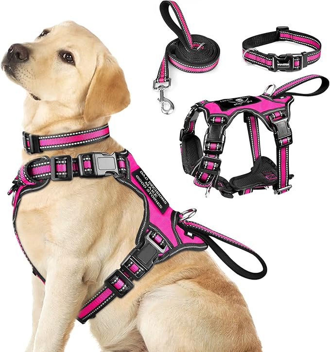 WINSEE Pet Harness Collar and Leash Set, All-in-one Reflective Dog Harness No by WINSEE