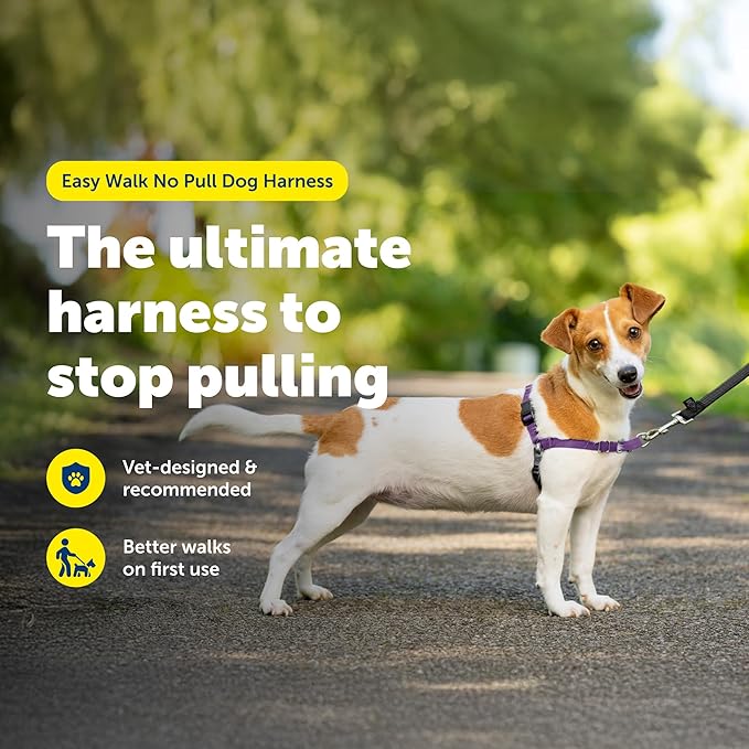 PetSafe Easy Walk No-Pull Dog Harness - Image 4