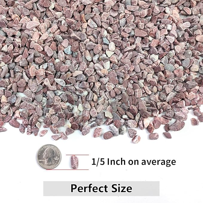 YISZM 2LB Succulent and Cactus Gravel Pebbles, 1/5 Inch Natural Decorative - Image 2