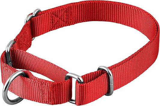 Native Pup Martingale Dog Collar, Adjustable by NativePup