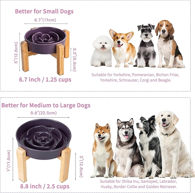 Elevated Slow Feeder Dog Bowl - Image 7