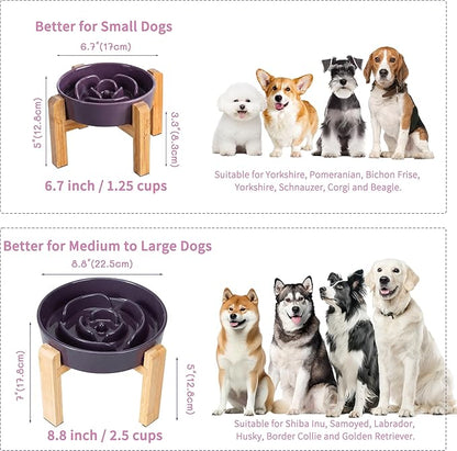 Elevated Slow Feeder Dog Bowl - Image 7