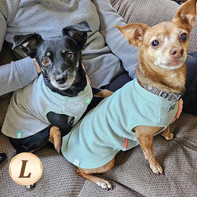 KYEESE 2Pack Dog Shirts Waffle for Small Dogs Stretchy Pet T-Shirts Lightweight - Image 7