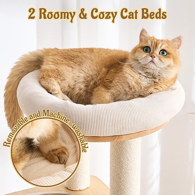 Modern Solid Wood Cat Tree for Indoor Cats Up to 15lbs, Scratcher & - Image 3
