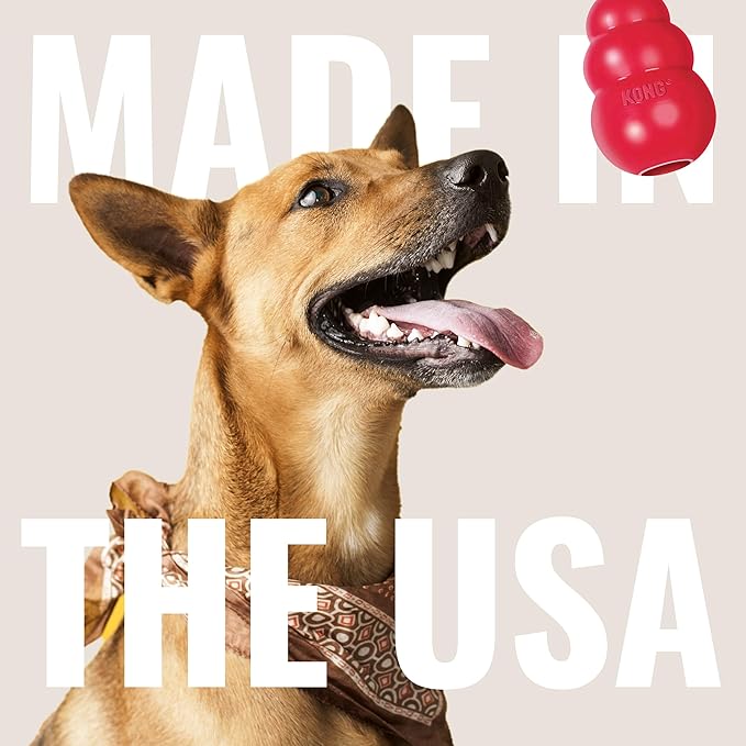 KONG Classic Stuffable Dog Toy - Image 7