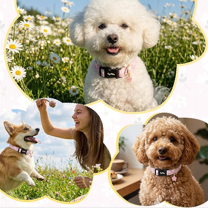 Dog Collar with White Floral Patterns, Spring Summer Collection Pink Dog Collar - Image 6
