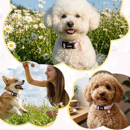 Dog Collar with White Floral Patterns, Spring Summer Collection Pink Dog Collar - Image 6