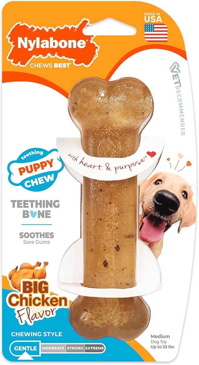Nylabone Puppy Chew Teething Bone, Toys by Nylabone