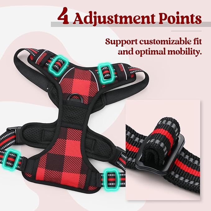 rabbitgoo Dog Harness No Pull - Image 4