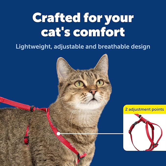 PetSafe Come with Me Kitty Harness and Bungee Leash Adjustable, Lightweight - Image 6