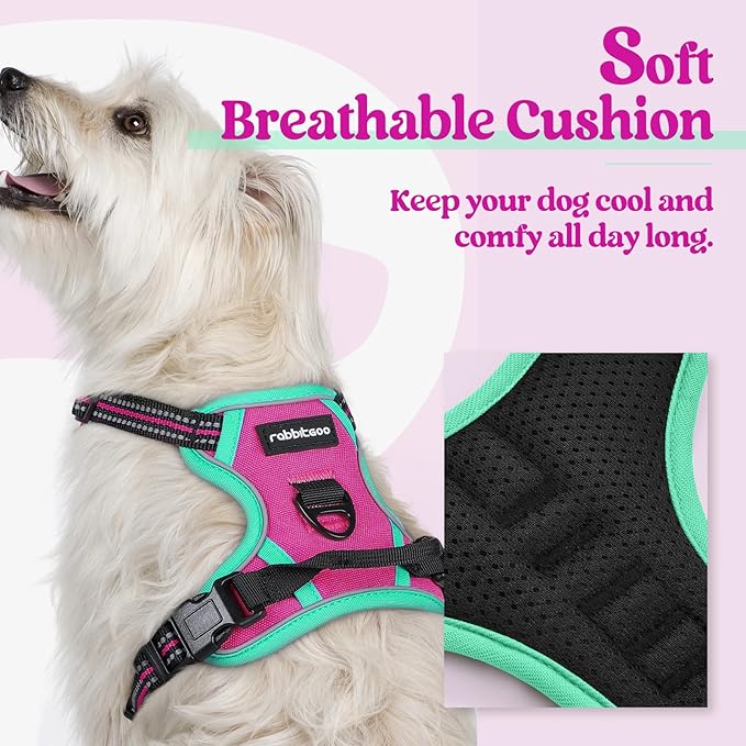 rabbitgoo Dog Harness No Pull - Image 2