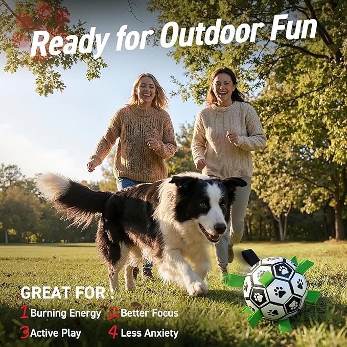 QDAN 6 Inch Dog Toys, Durable Floatable Dog Balls - Image 5