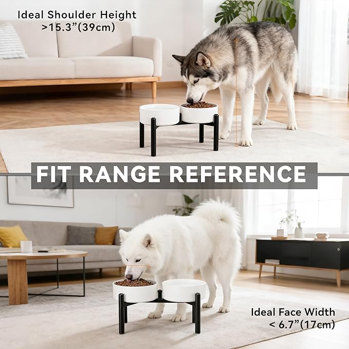 Dog Bowls Elevated - Image 7