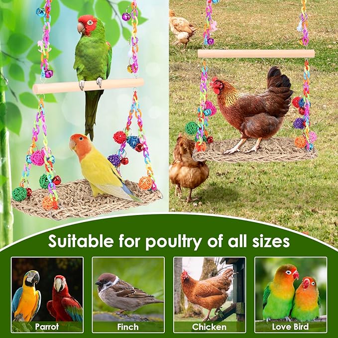 2 in 1 Bird Swing, Double Layer Bird Swing, Add Interest, Double Parrot Swings - Image 7