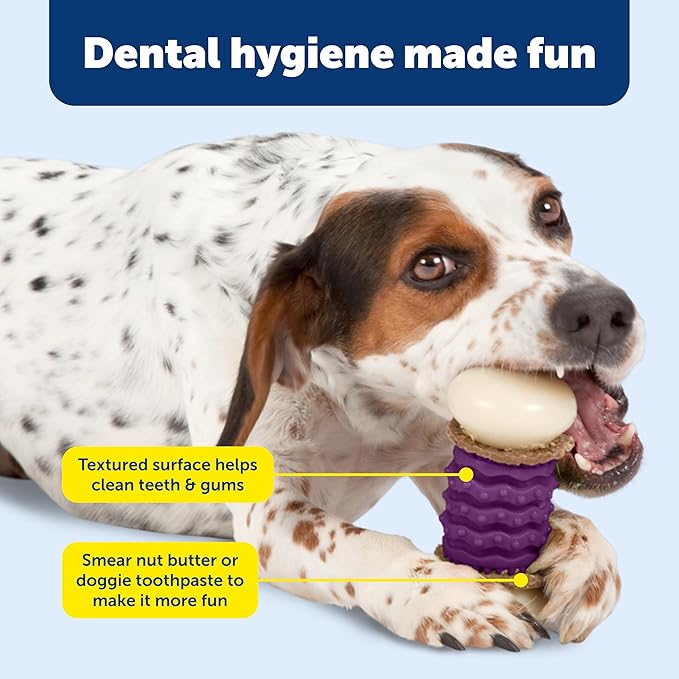 PetSafe Busy Buddy Nobbly Nubbly Treat Holding Dog Toy Strong Chewers Large - Image 4