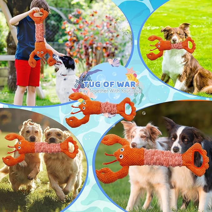 YZHDUXIU Tug of War Dog Toy, Squeaky Dog Toys Interactive Lobster Puppy Toys - Image 7