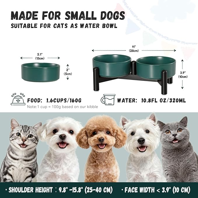 Raised Ceramic Dog Bowl Set - Image 2